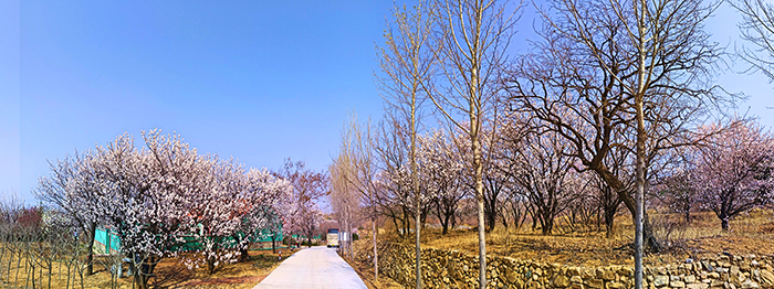 1522220058779348p436.jpg Fotor_152212582554984.jpg