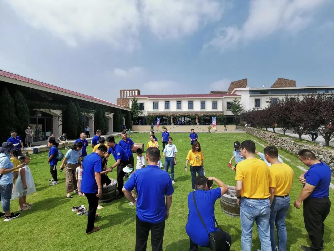 1633766784105746155A.jpg 24.jpg